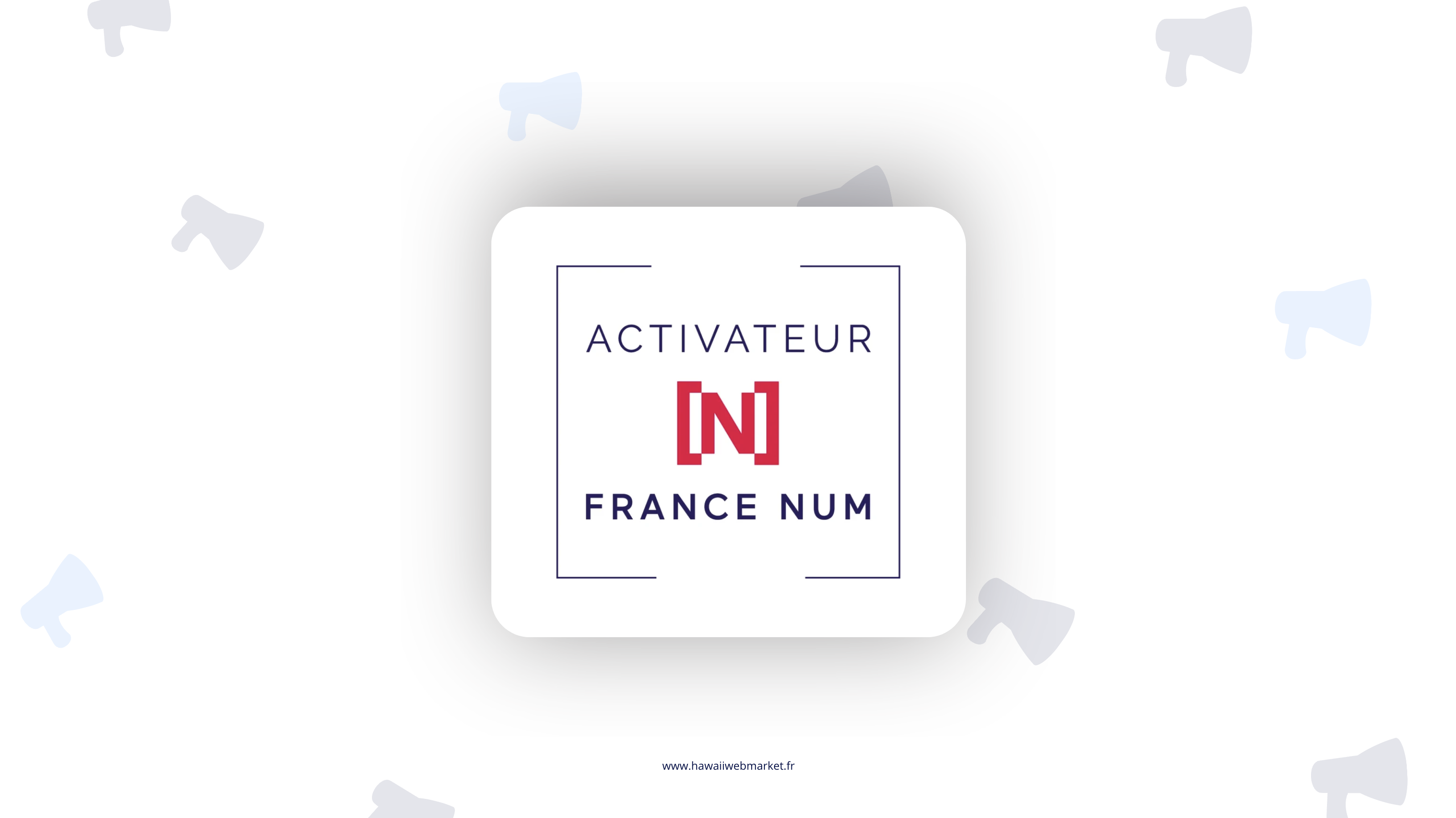 Agence web référencée activatrice France Num